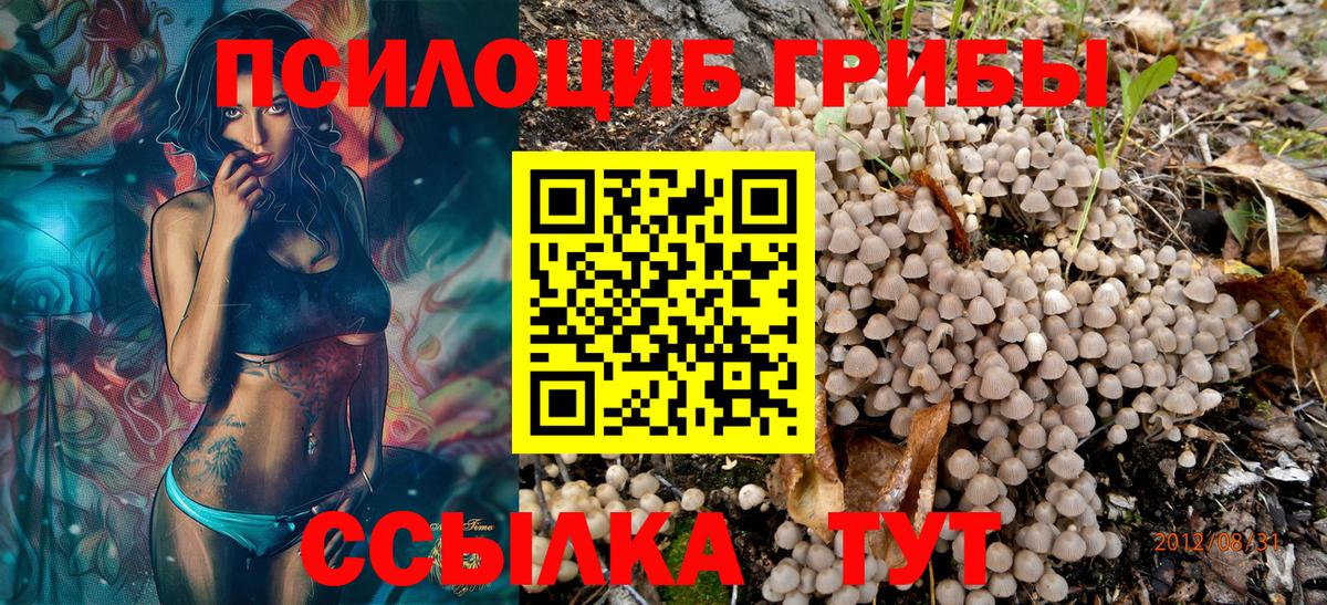 Галлюциногенные грибы Psilocybine cubensis  Вход с VPN  Чита 